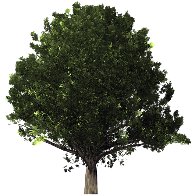 Eco-friendly