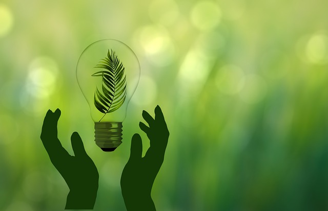 Shop Eco-Friendly Electronics: Guide to Sustainable Choices