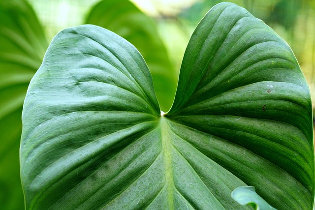 Eco-friendly toilet paper and hand sanitizer dispensers