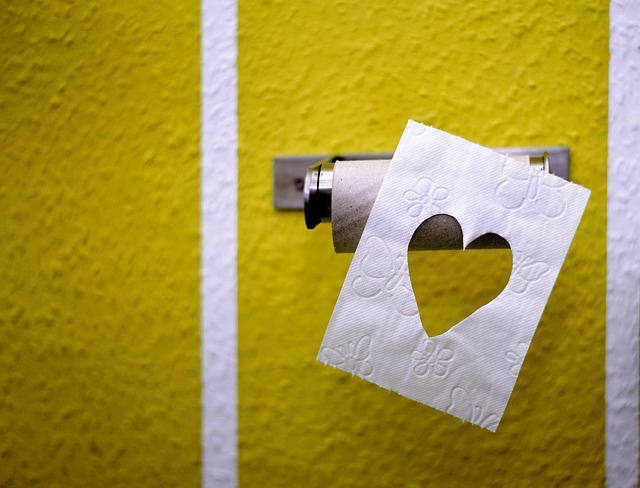 eco-friendly-toilet-paper-and-hand-sanit-640x480-97299272.jpeg