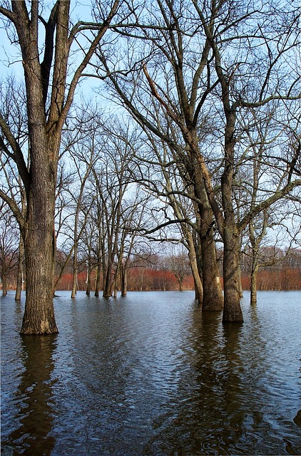 Flood Damage Restoration McKinney TX