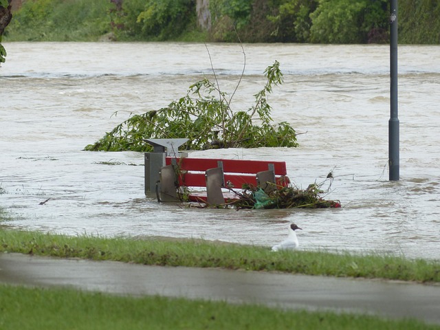 Flood Damage Restoration McKinney TX