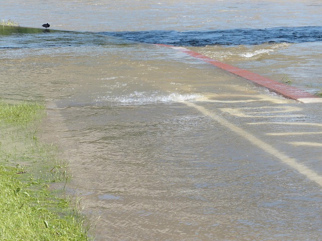 flooded-carpet-water-removal-mckinney-tx-640x480-32228210.jpeg