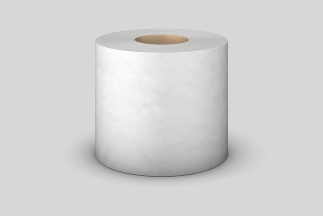 lightweight camping toilet
