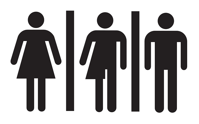 lightweight-camping-toilet-640x480-65098186.png