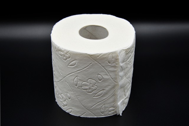 lightweight camping toilet