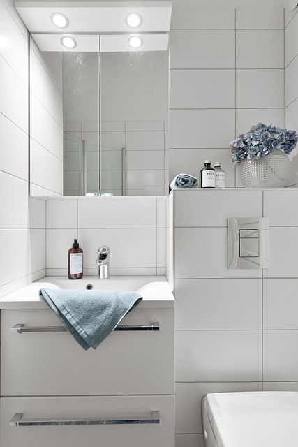 luxury-portable-bathrooms-640x480-24018539.jpeg