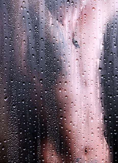 Porta Potties With Showers