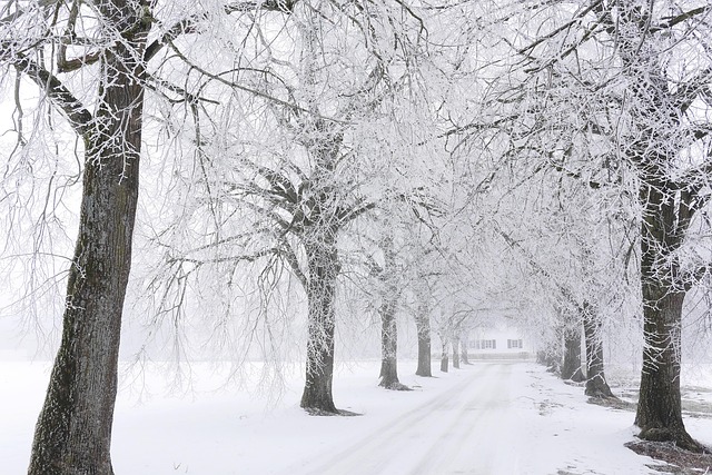 Portable potties with heating for cold weather events