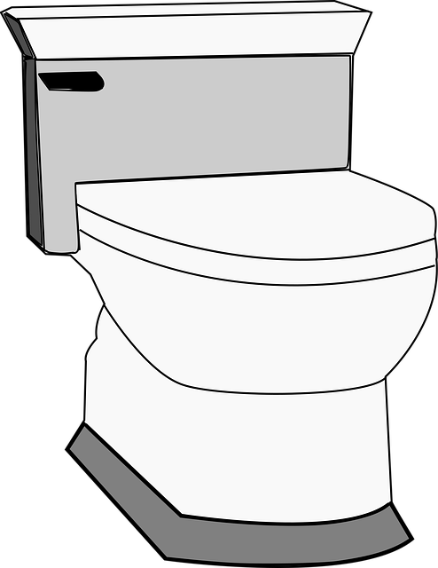 renting-portable-restrooms-640x480-89352441.png