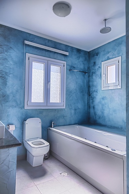 Waterless portable toilet systems for emergency preparedness