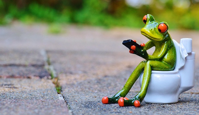 Waterless portable toilet systems for emergency preparedness