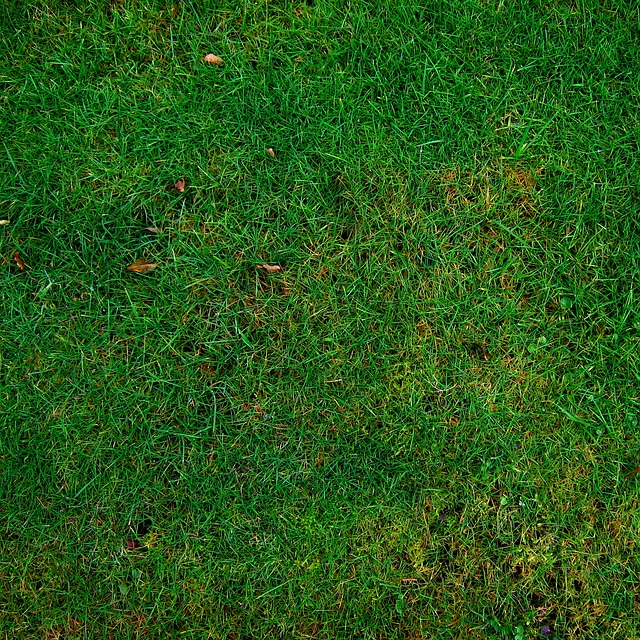 10 Yard Dumpster Allen TX