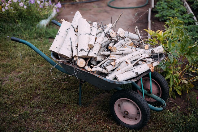 20 Yard Dumpster Montclair NJ