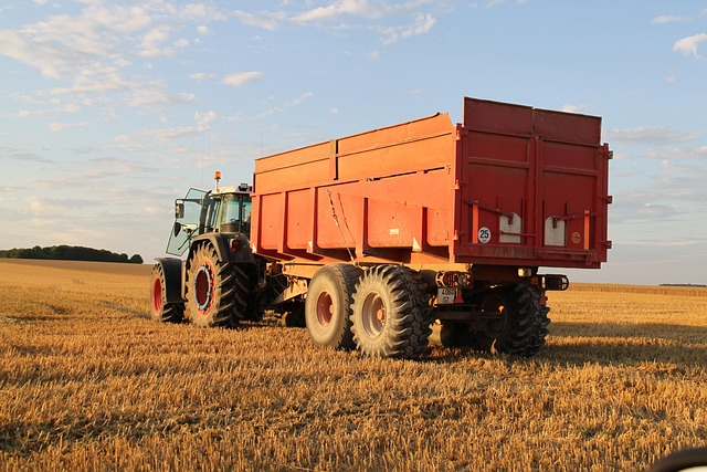 30 Yard Dumpster Rentals Allen TX: Efficient Debris Removal Solutions