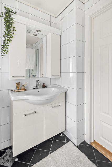 Affordable Bathroom Rental