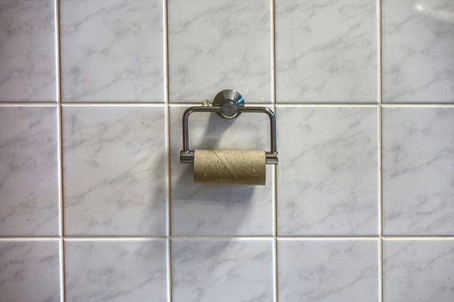 Affordable Bathroom Rental