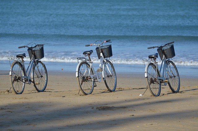 Uncover Affordable Portable Toilet Rentals in [Area]