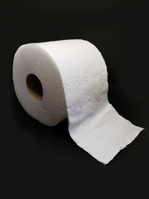 Average Cost Of Portable Toilet Rental