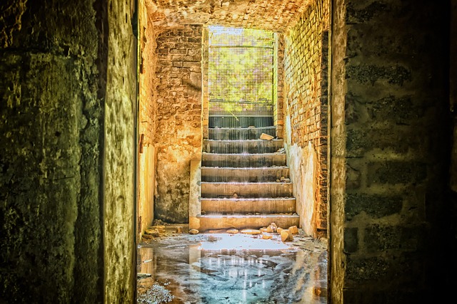 Emergency Basement Water Damage Repair Pomona CA Guide