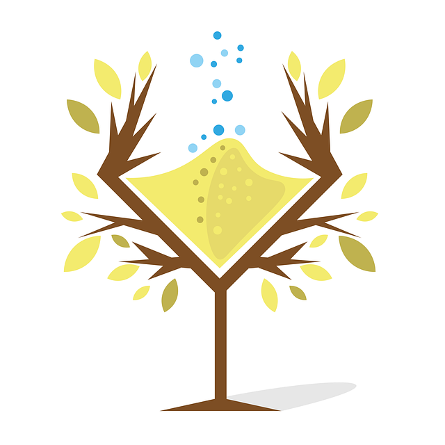 Basement Water Extraction Fort Collins CO: Quick Solutions & Prevention