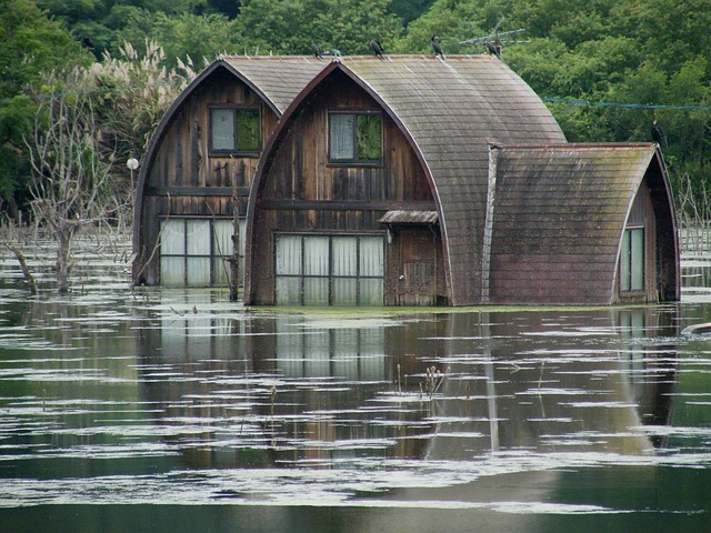 Bathroom Flood Prevention & Repair in McKinney TX