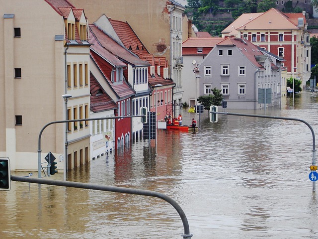 Bathroom Flood McKinney TX: Repair, Prevention & Restoration Guide