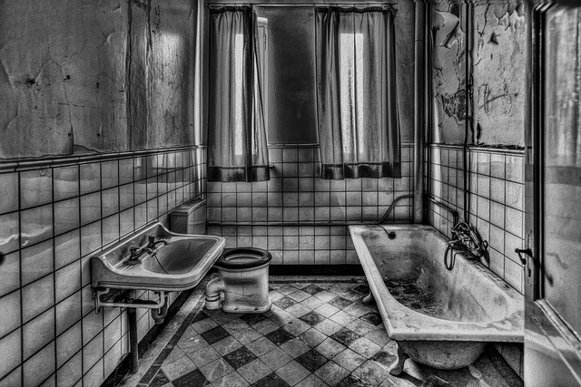 Bathroom Rental