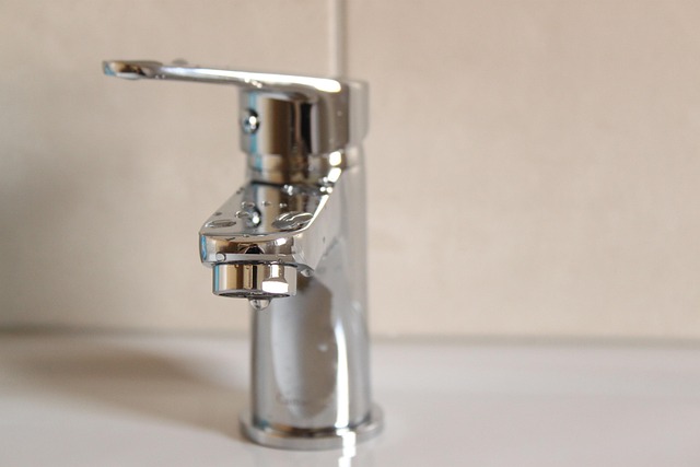 Bathroom Rental Trailer