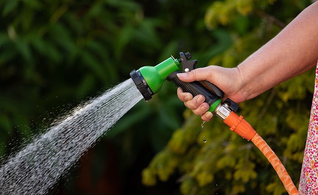 Burst Pipe? Quick Carpet Drying in McKinney TX for Water Damage Cleanup
