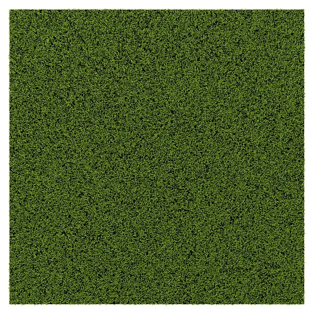 carpet-damage-from-water-mckinney-tx-640x480-79872221.jpeg