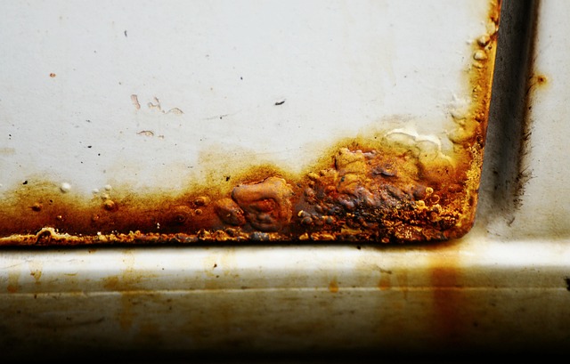 Affordable Ceiling Water Damage Fix Norfolk VA Solutions