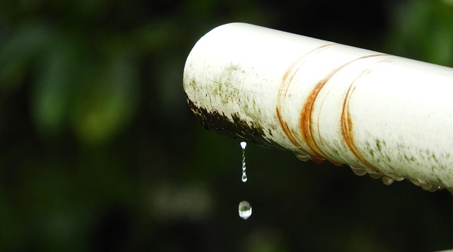 Ceiling Water Leak Repair McKinney TX