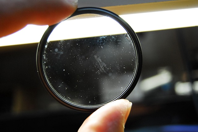 McKinney Mold Experts: Your Home’s Safeguards Against Mildew