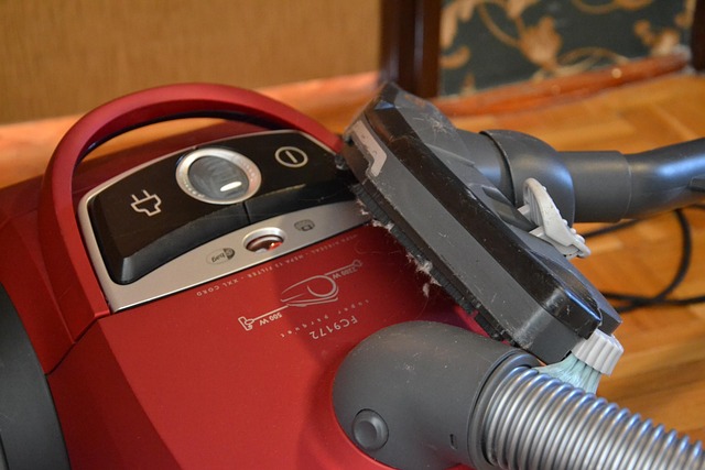 Cleaning Mold And Mildew McKinney TX