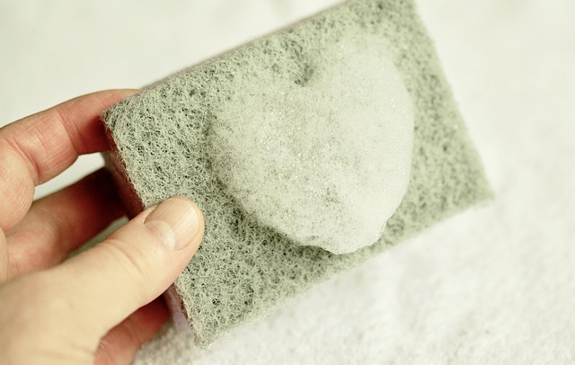 Cleaning Mold And Mildew Pomona CA