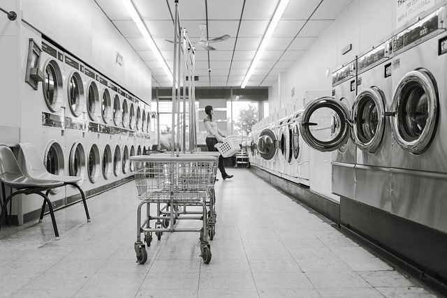 Cleaning Mold And Mildew Pomona CA