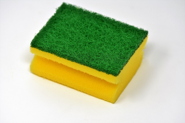 Cleaning Mold And Mildew Pomona CA