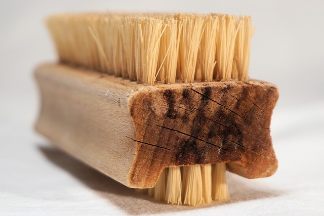 Cleaning Mold And Mildew Pomona CA