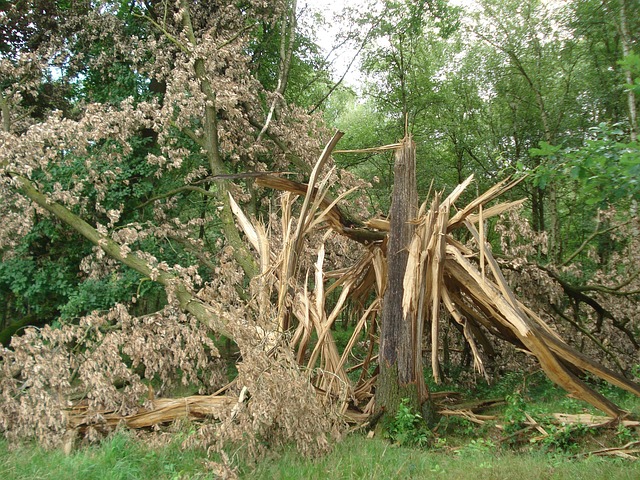 Commercial Water Damage McKinney TX