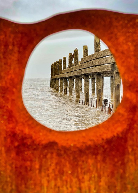 Expert Flooding Cleanup: Commercial Water Damage Norfolk VA Solutions