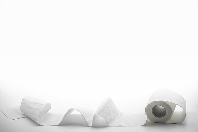 Compostable toilet seat covers for events