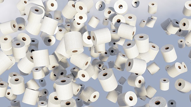 compostable-toilet-seat-covers-for-event-640x480-87149117.jpeg