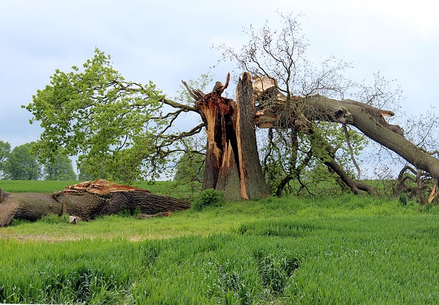 Cost For Water Damage Restoration McKinney TX