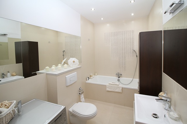 Affordable Deluxe Toilet Rental: Local Companies Unveiled