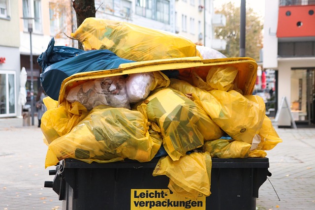 Dumpster Rentals Around Me Montclair NJ