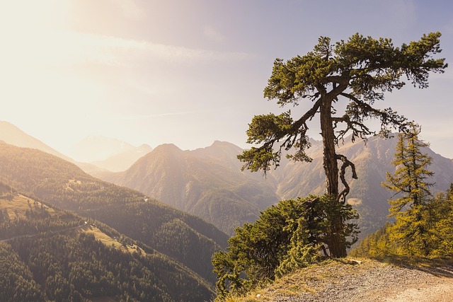 easy-to-transport potties for hiking