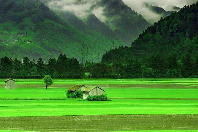 Eco-friendly