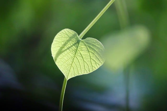 Eco-friendly