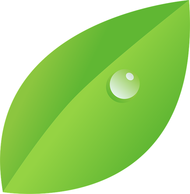 eco-friendly-640x480-80846348.png